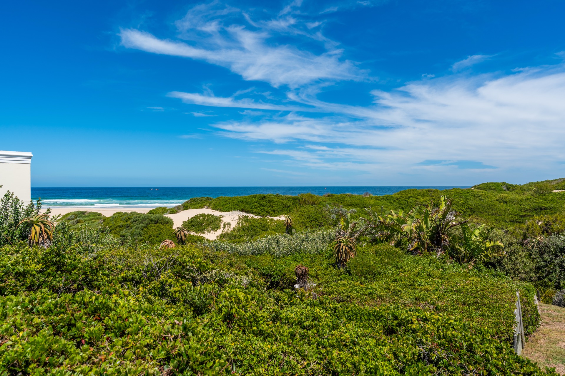 Beach and dunes at Cape St Francis